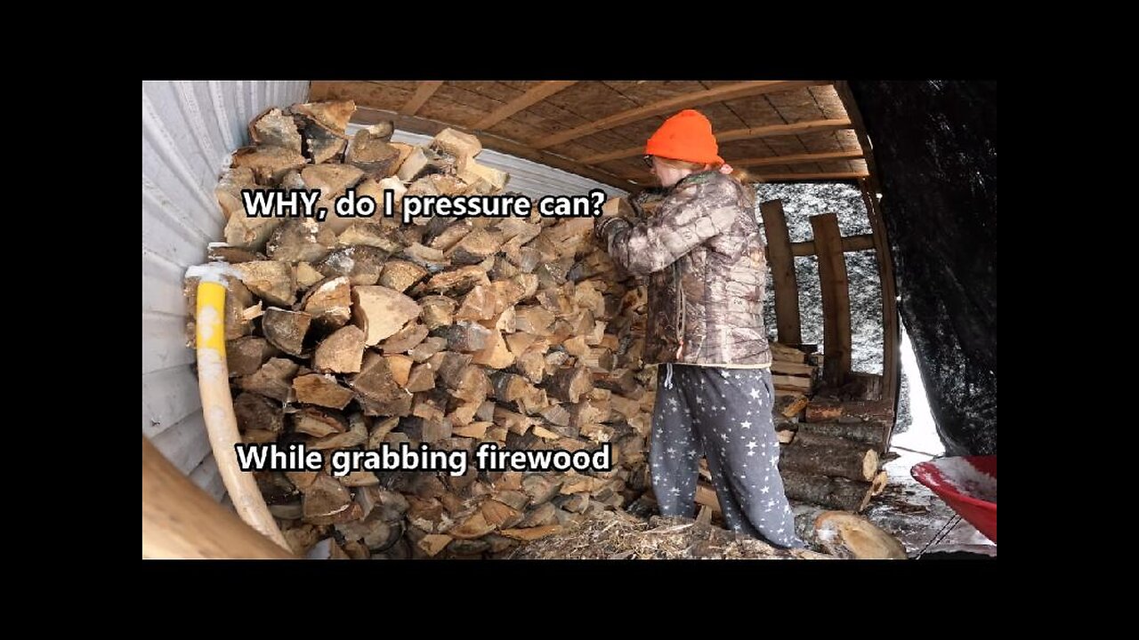 Why I Pressure Can!? | Grab firewood with me