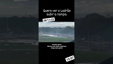 28 de novembro de 2022
