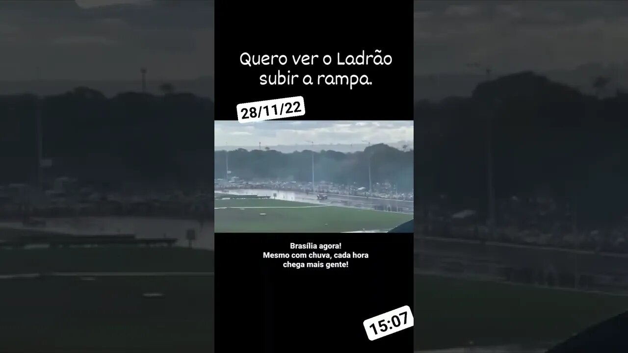 28 de novembro de 2022