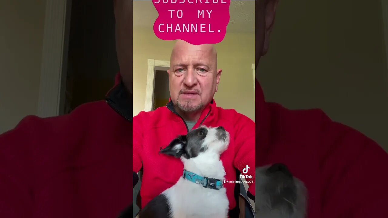 πππππ Americaβs number one dad, joke, guy and his little tiny dog Jules!ππππ