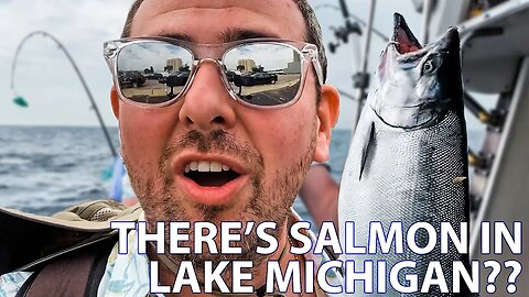 We Caught Salmon in Lake Michigan on a Fishing Trip