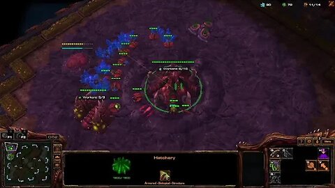 Session 2: StarCraft II (1v1 Matchmaking as Random)