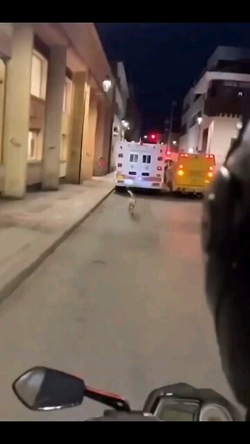 this will make you 😢