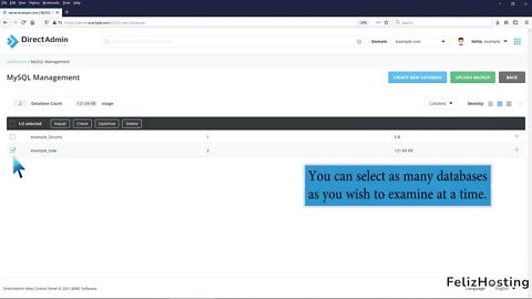 How to examine or optimize a database in DirectAdmin FelizHosting