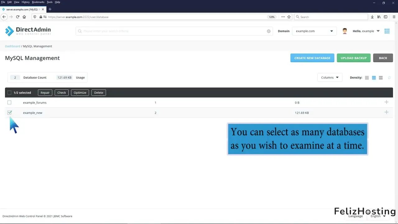How to examine or optimize a database in DirectAdmin FelizHosting