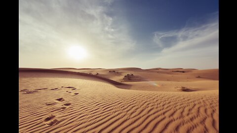 The Desert Shall Rejoice