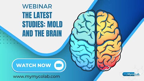 The Latest Studies-The Mold and the Brain