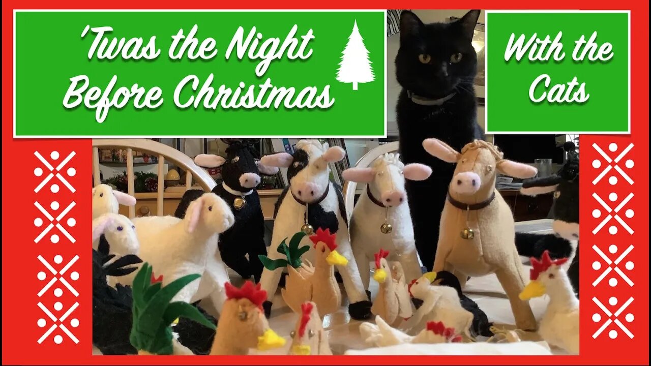 Twas the Night Before Christmas with the Cats