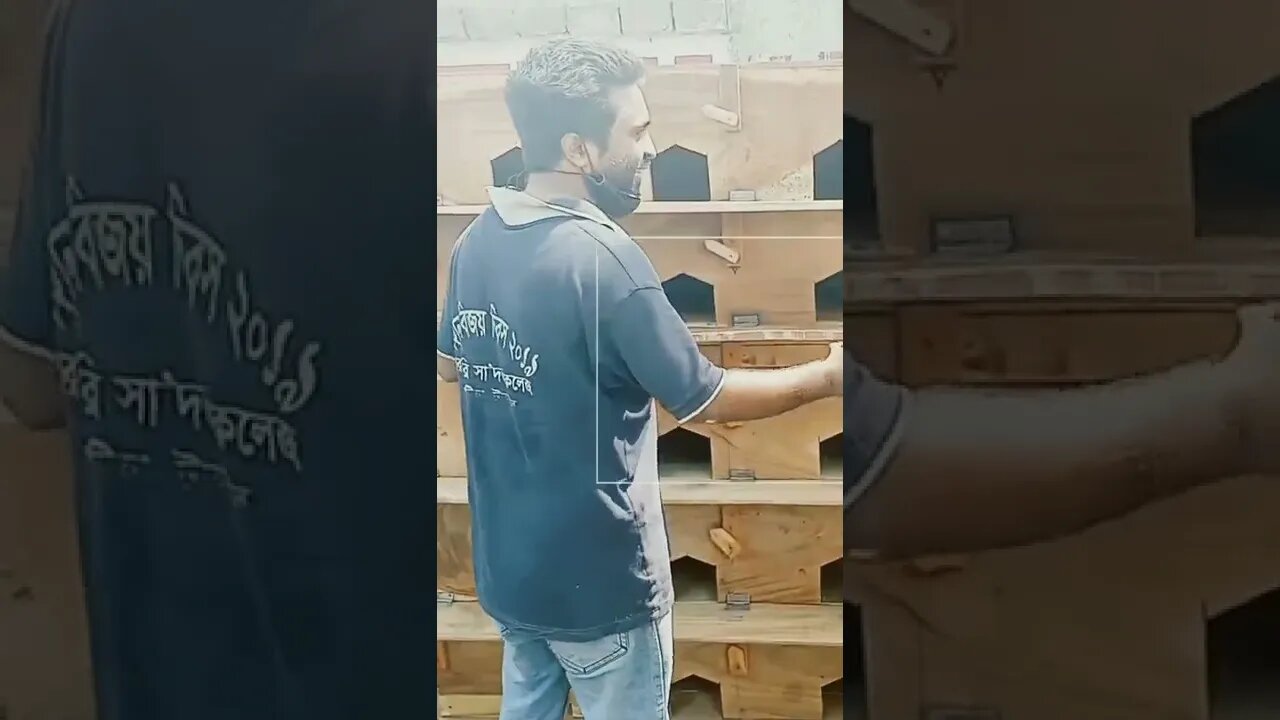 কবুতরের খাঁচা বিক্রিতা মোঃঃ কালাম ভাই