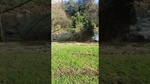 Karangahape Gorge