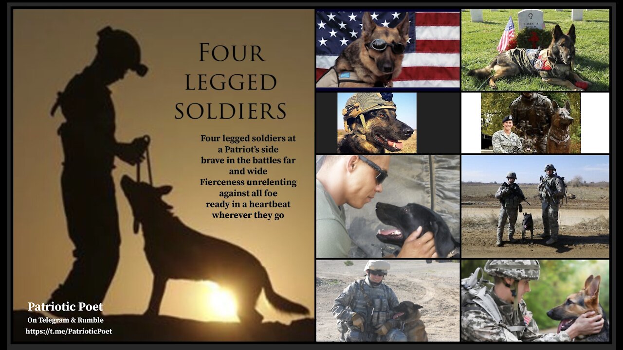 Four Legged Soldiers