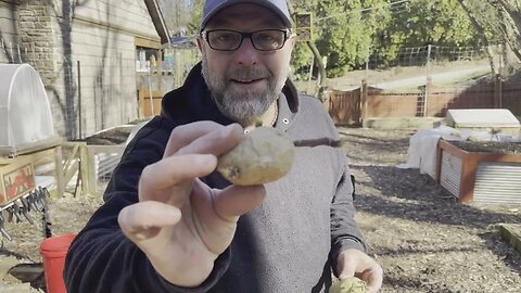Planting the 2023 Potatoes. Grow bag style...................