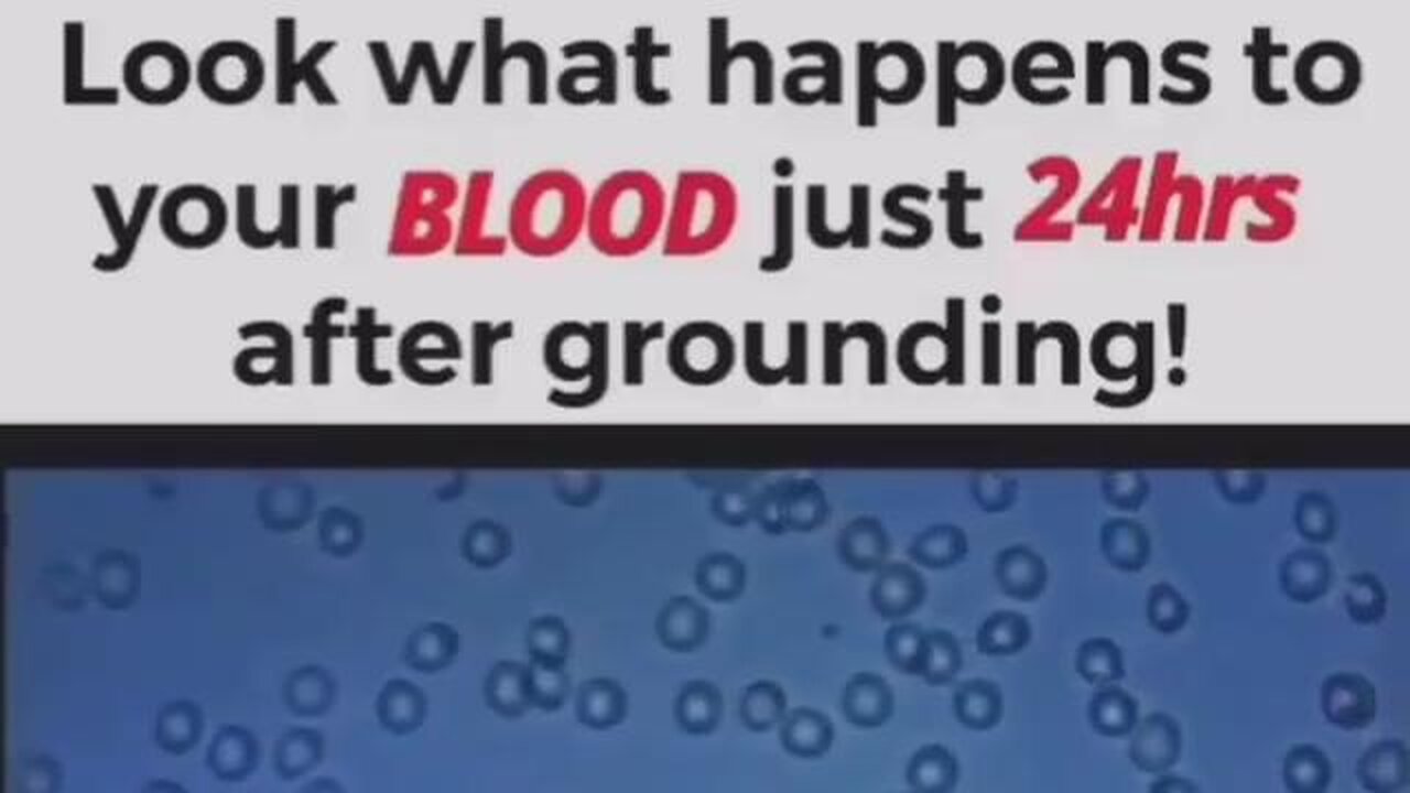 Look at the difference grounding can make in your blood in just 24 hours