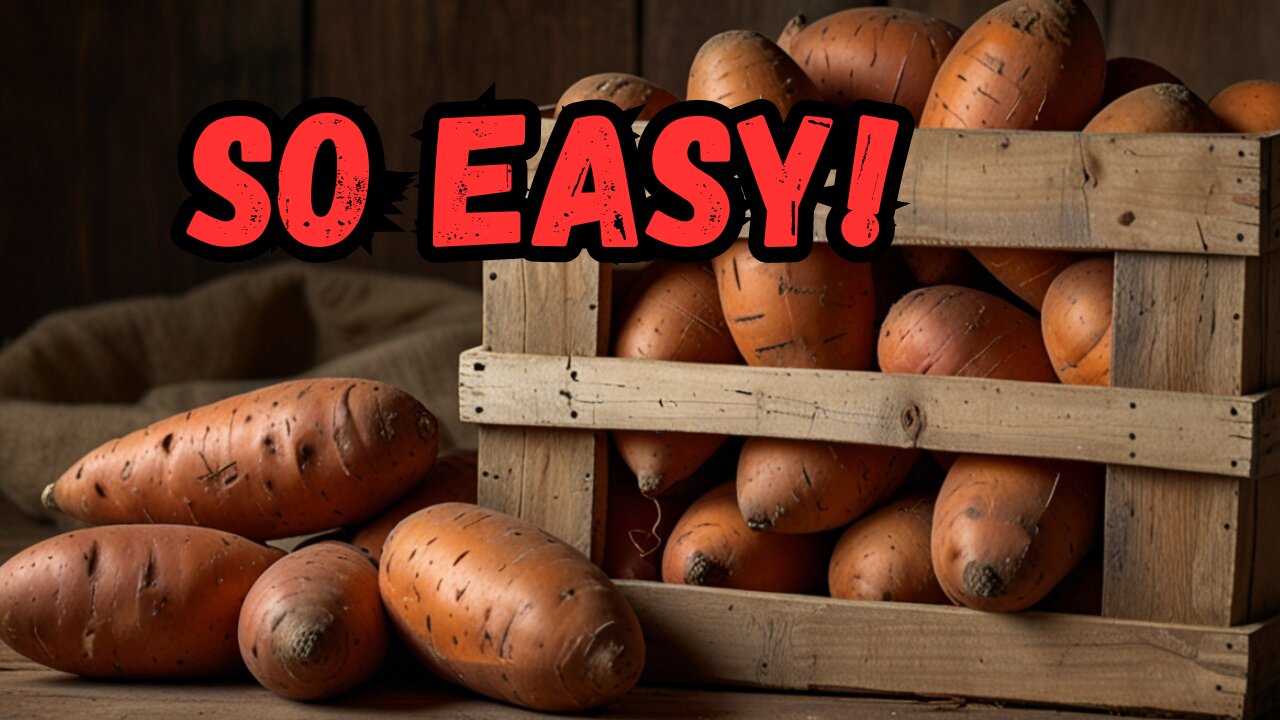 When to Harvest Sweet Potatoes & How to Store Them Properly