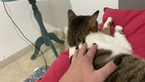 Sleepy Asmr