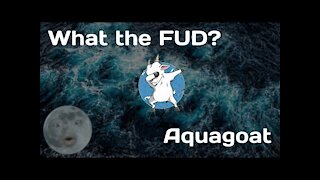 What is Aquagoat? Aquagoat.finance explained! | What the FUD Episode 5