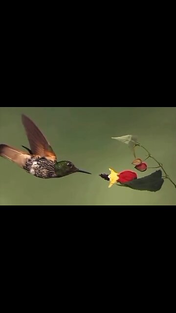 THE GREATNESS OF GOD - DAILY DEVOTIONAL ❤️