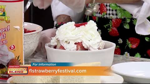 Florida Strawberry Festival