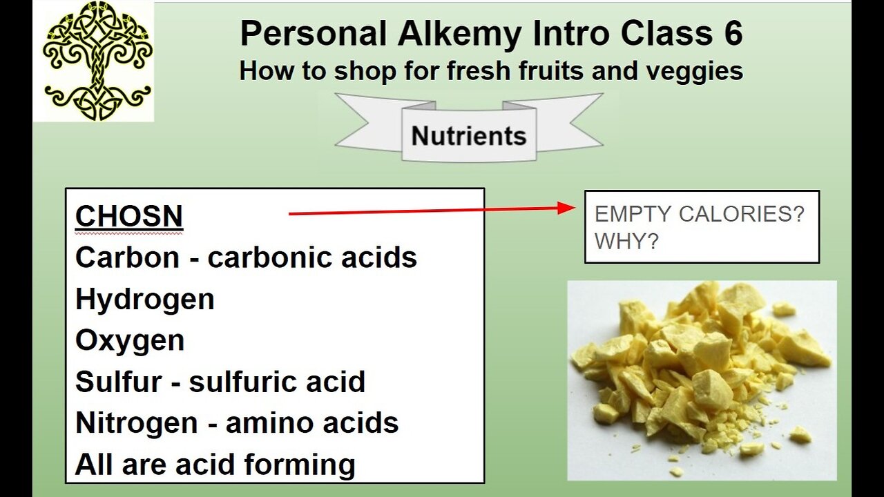 Personal Alkemy Intro to Health Class 6 of 10 Dec. 28 2023 - Part 2 Why Fresh Foods?