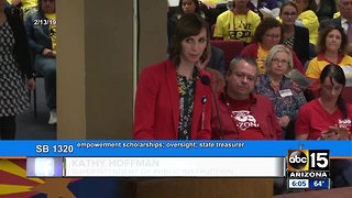 Senate committee hears testimony on school vouchers
