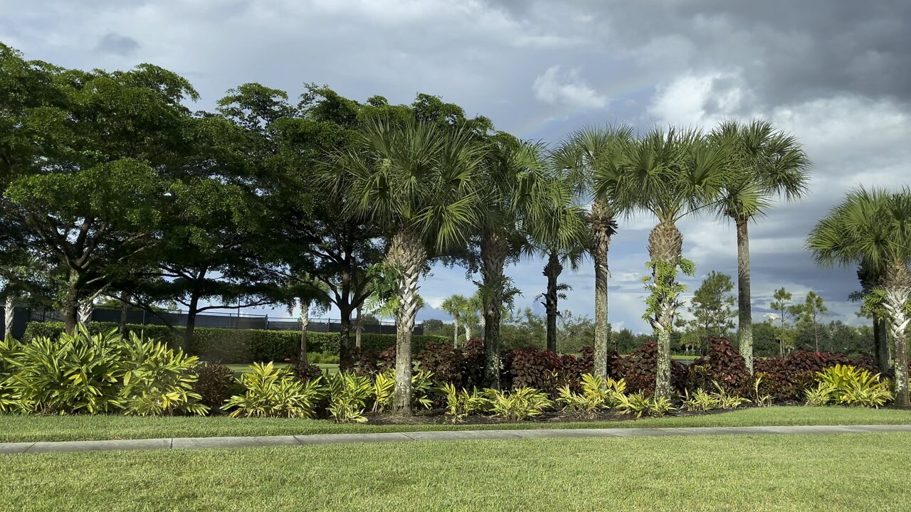 Drives In Paradise - Rainbow Edition (Widescreen) #4K #HDR #DolbyVision￼