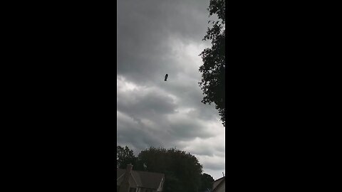 Blimp Sighting #short