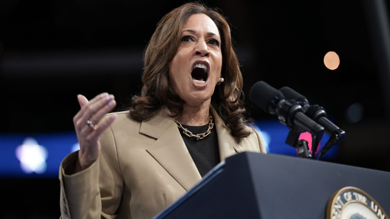 Kamala Harris New Campaign Strategy Unleashed - Insulting Black Men