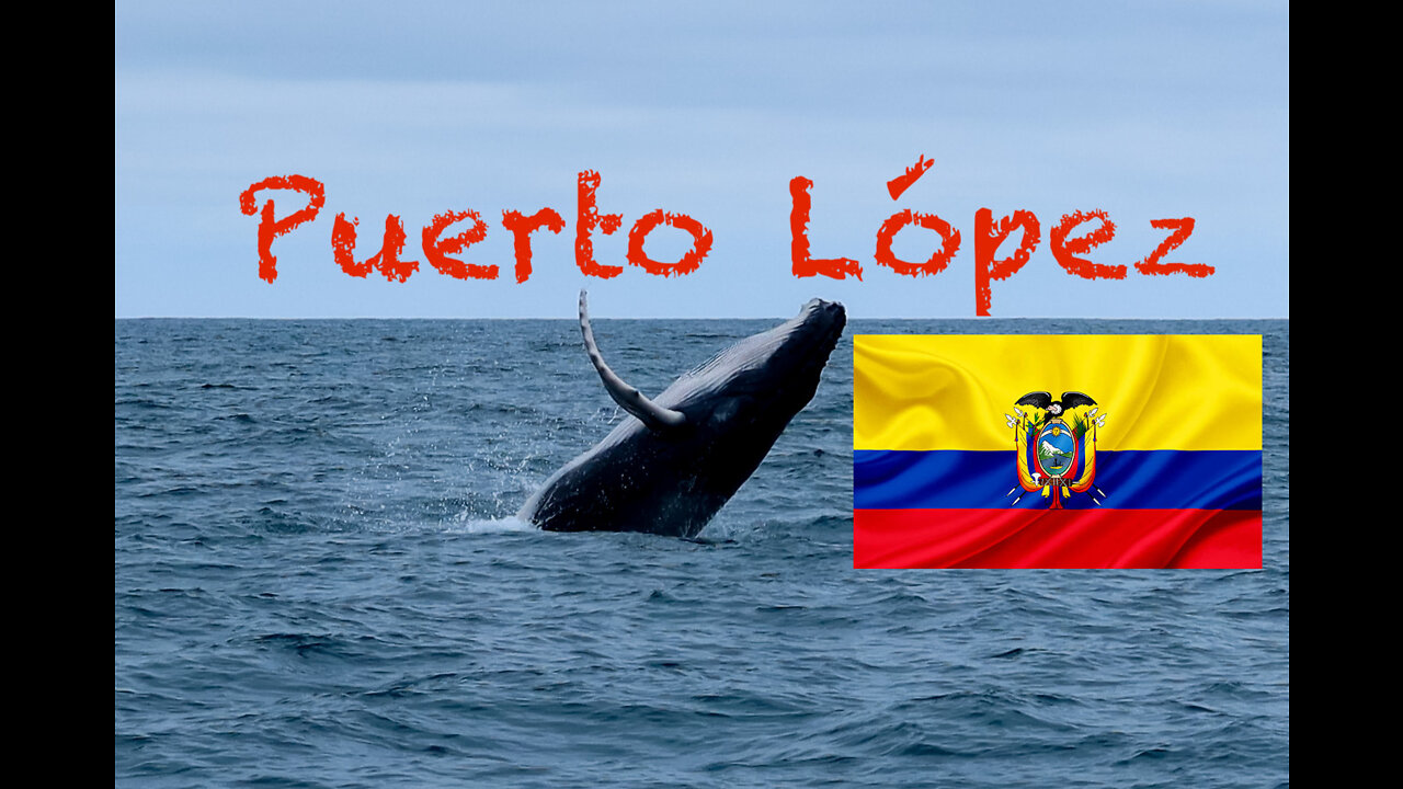 Puerto López ~ Ecuador Travel MUST SEE