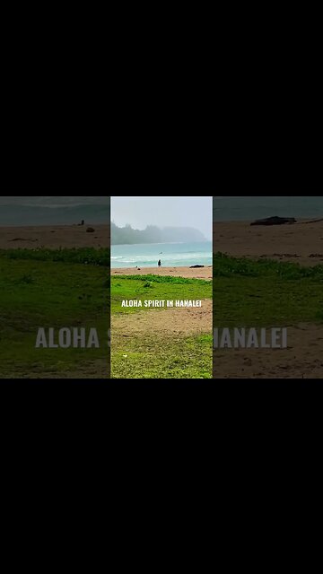 HANALEI BAY DREAM’N