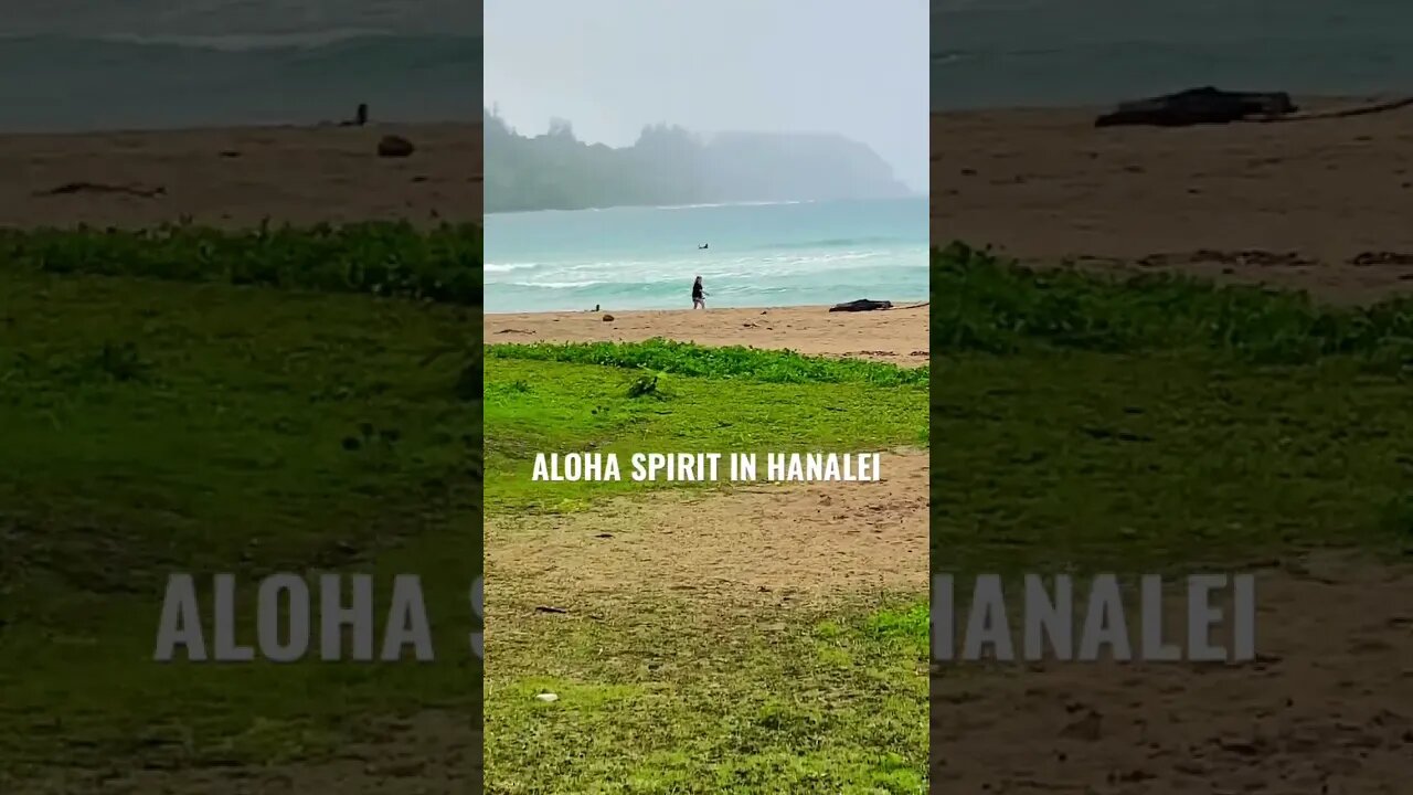 HANALEI BAY DREAM’N
