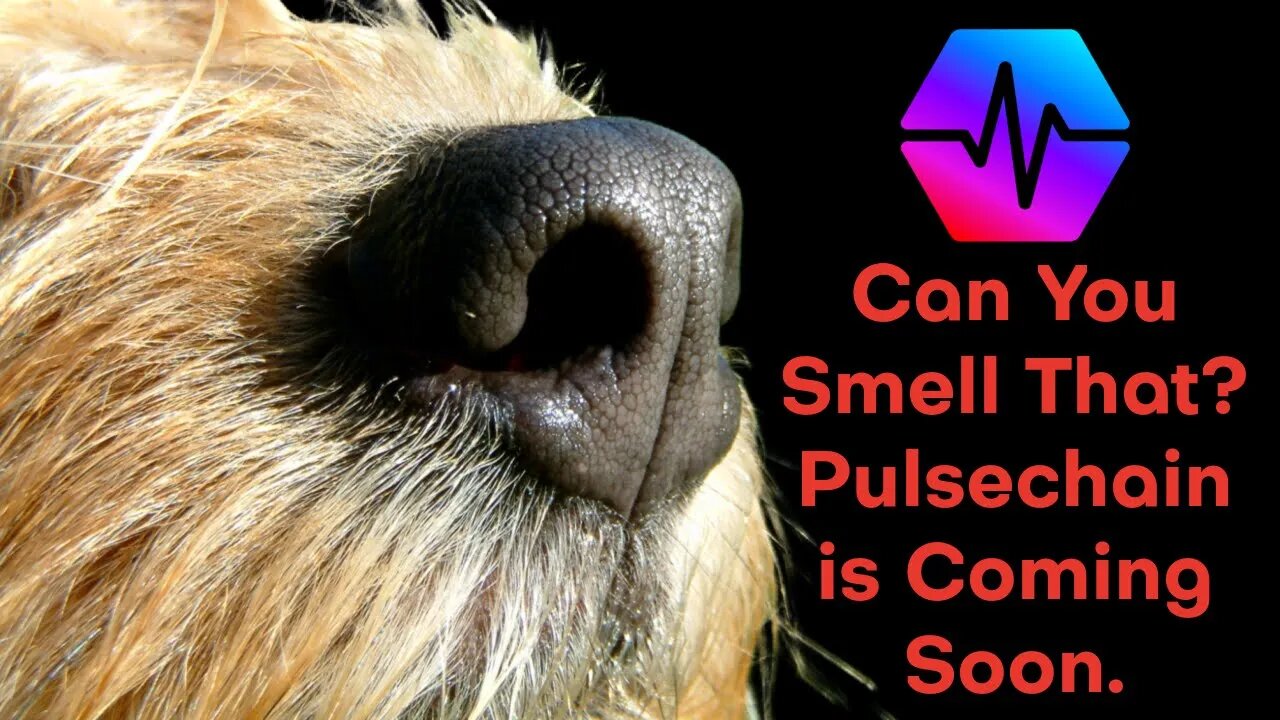 Can You Smell That? Pulsechain is Coming Soon!