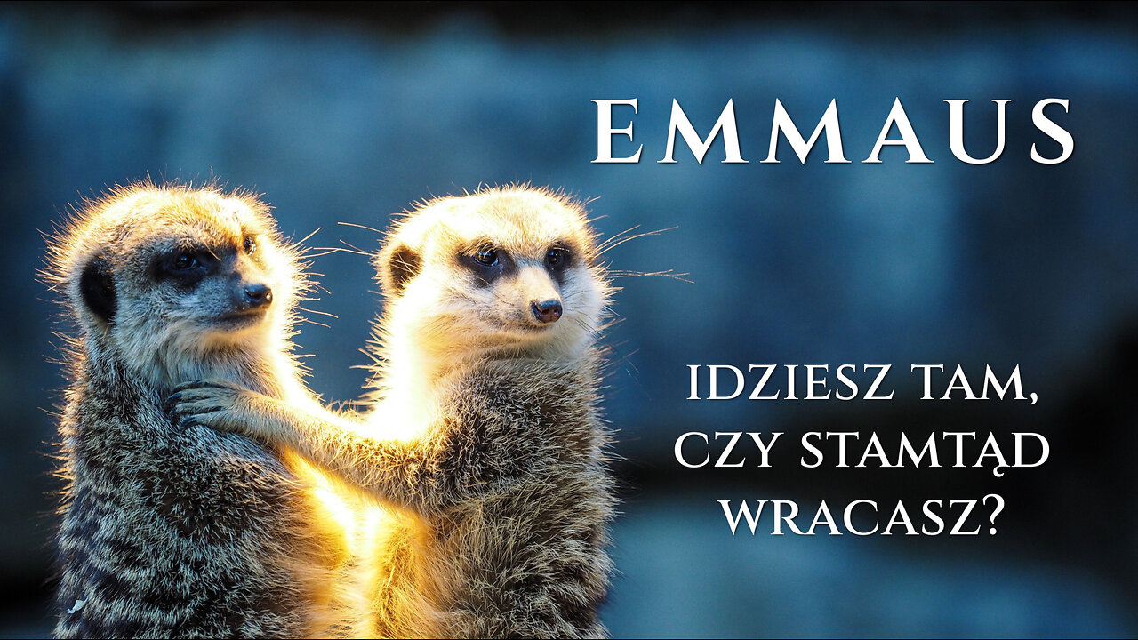 Emmaus - idziesz tam, czy stamtąd wracasz?