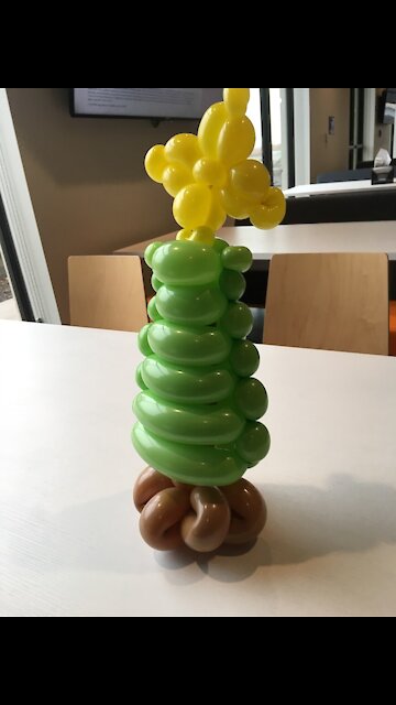 Christmas Star balloon twisting tutorial