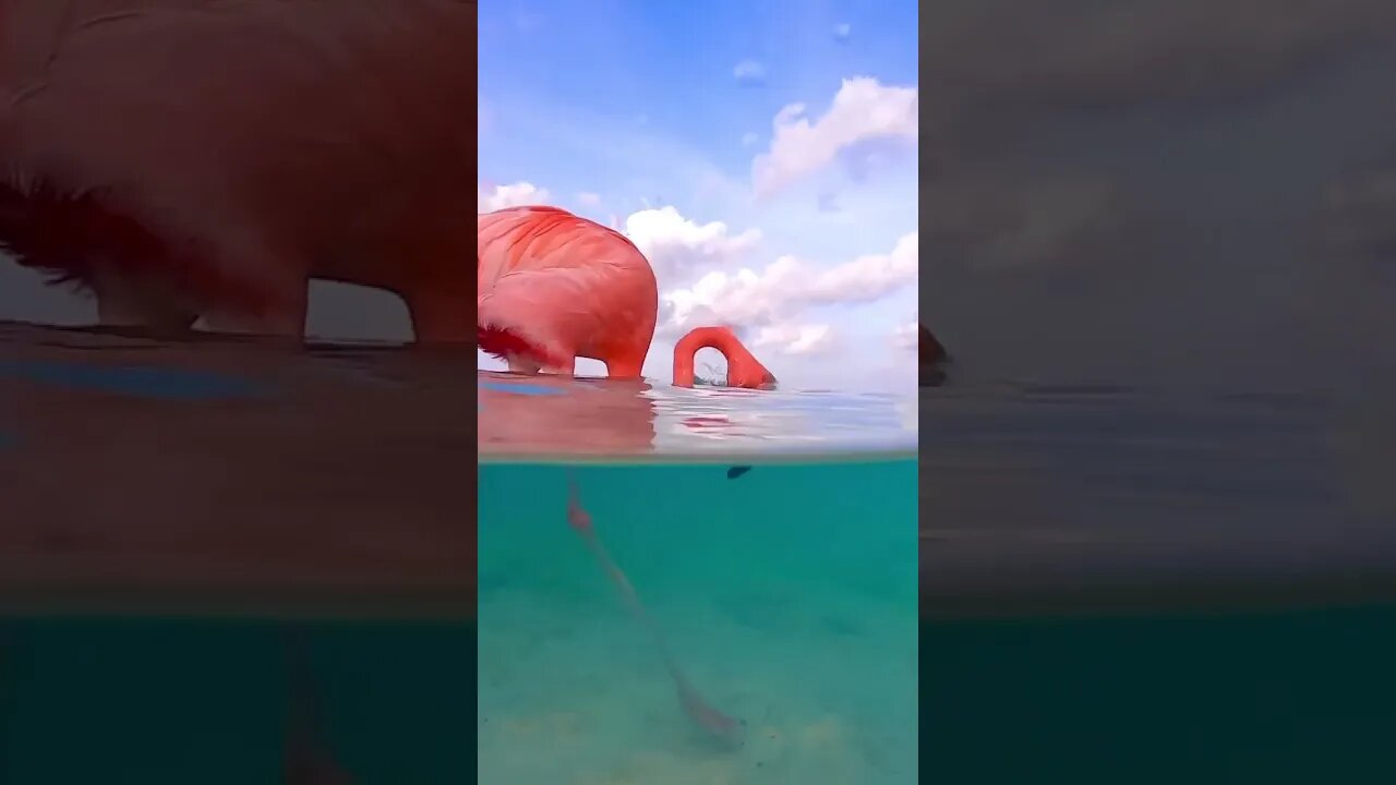 23 de agosto de 2023