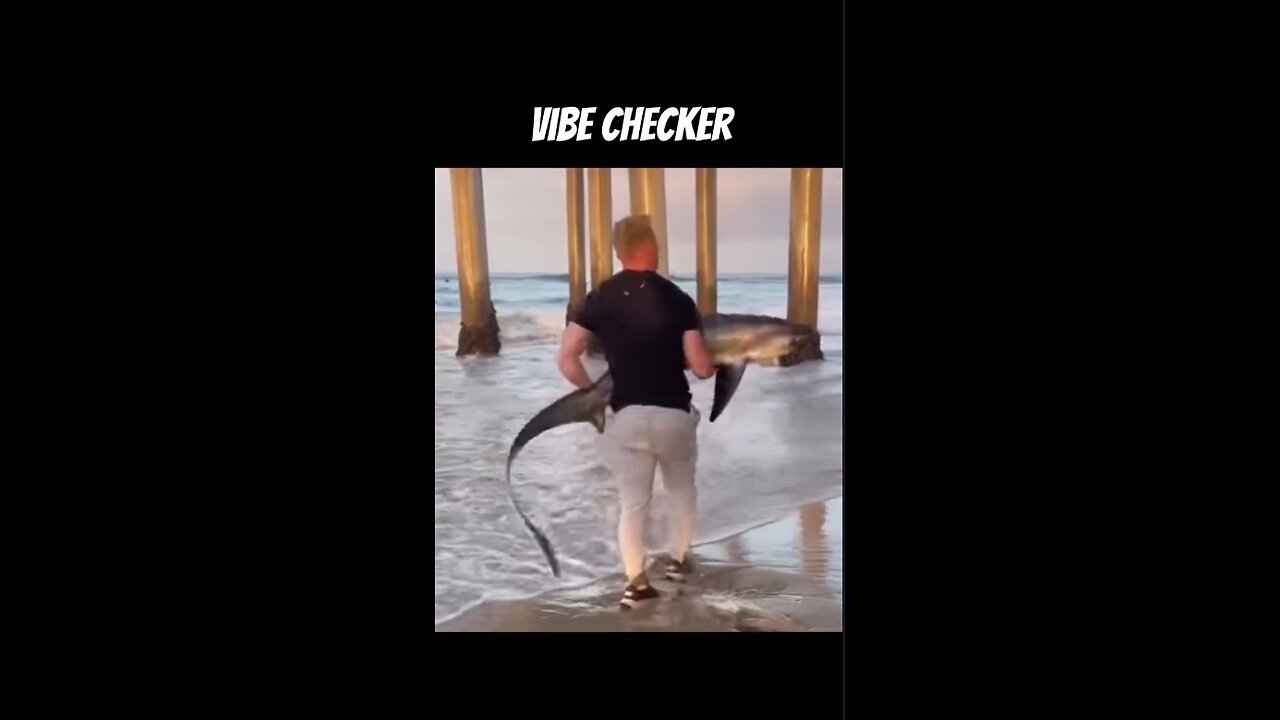 Brave man saves a shark | Low Quality Videos #5