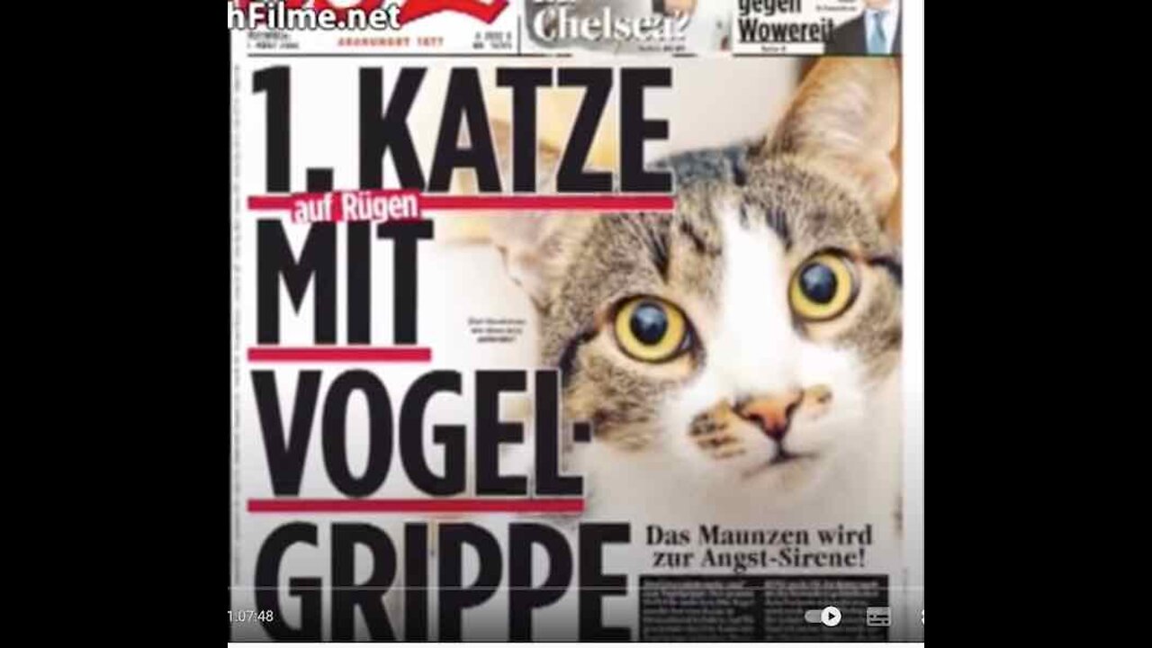 „Wenn die #WHO die Stufe 6 erklärt, beginnt die #Pandemie“