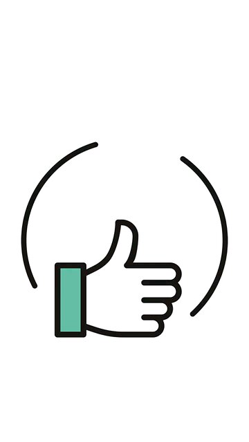 Harvested tomatoes and Green beans.