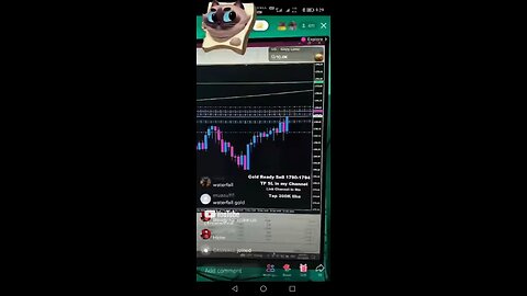 This is how newbie trade in forex trading. Please dont try this