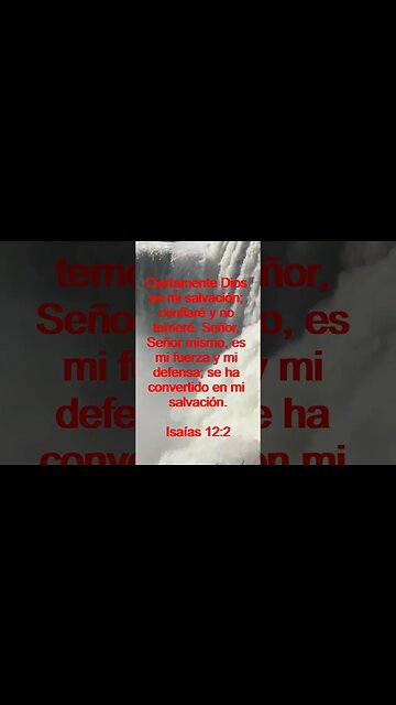 Verso Del Día | Lectura Inspiradora Para Empezar El Día. | 16