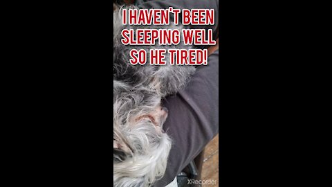 I HAVEN'T BEEN SLEEPING WELL. HE IS TIRED!