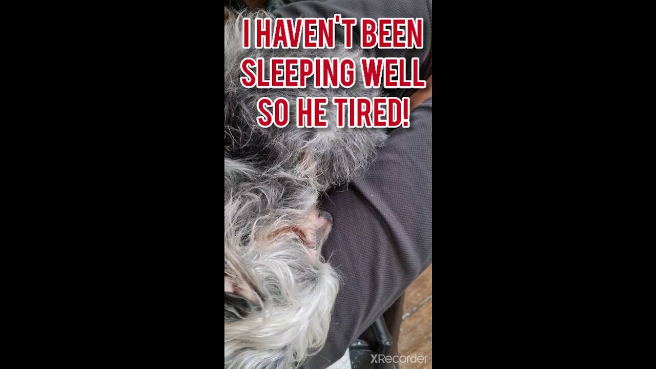 I HAVEN'T BEEN SLEEPING WELL. HE IS TIRED!