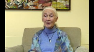 Dr. Jane Goodall visits FAU: 'Each individual matters and makes a difference'