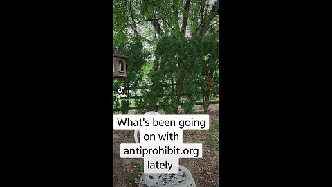 What's been going on with antiprohibit.org lately