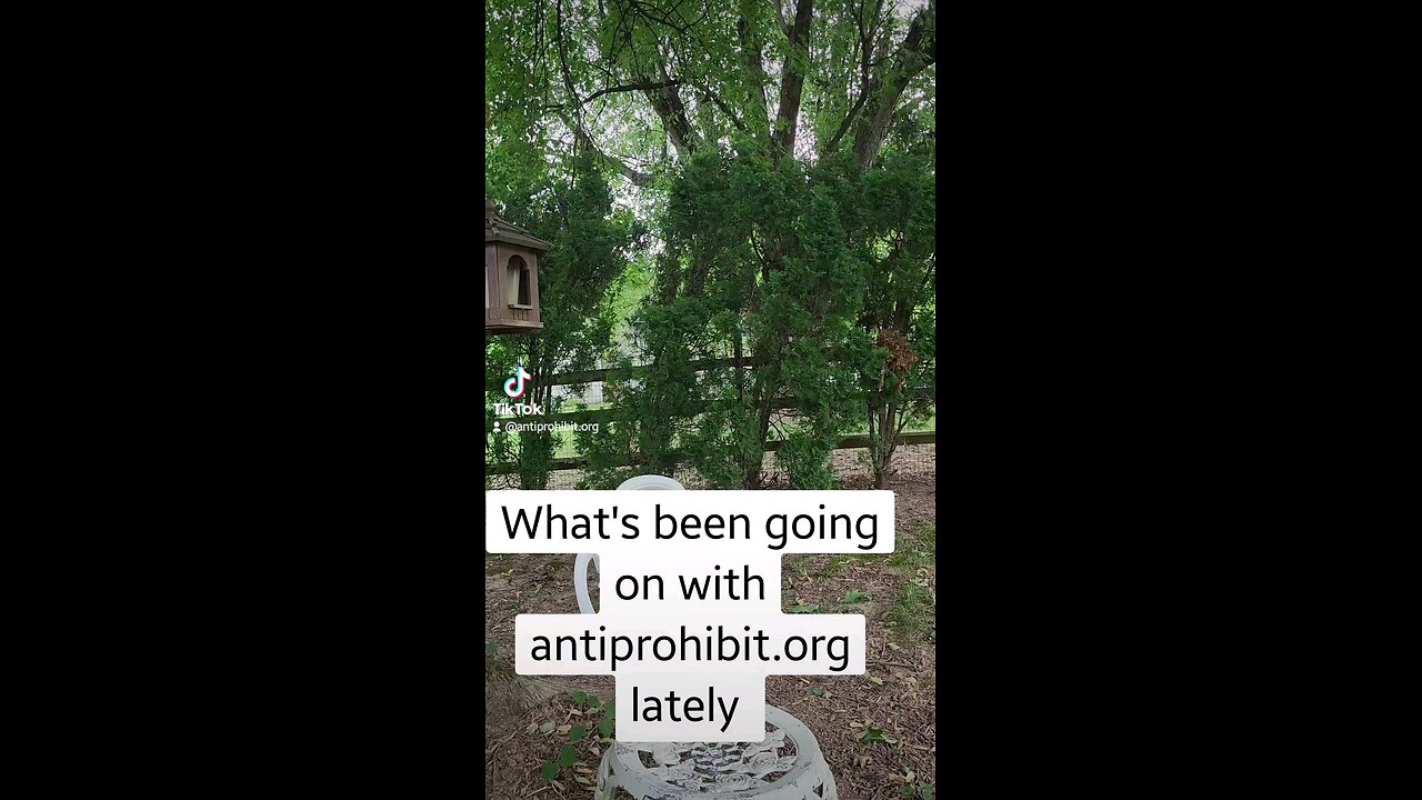 What's been going on with antiprohibit.org lately