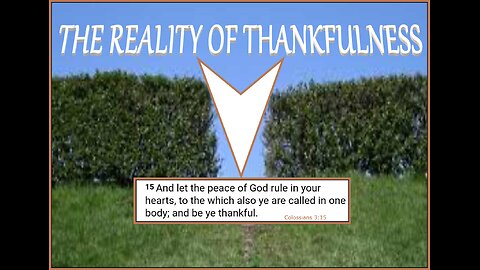 THE REALITY OF THANKFULNES #238 LCM