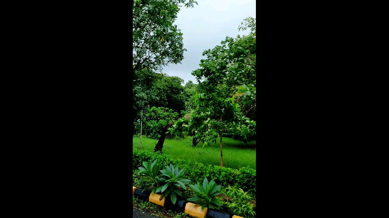 Nature