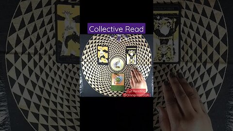 You are in your power, keep it up! Ground yourself if need be. #collectivereading #shorts #tarot