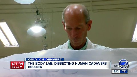 The Body Lab: Boulder company offers cadaver dissection classes to public