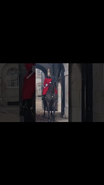 strike for education protest scares horse #horseguardsparade