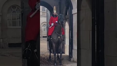 strike for education protest scares horse #horseguardsparade